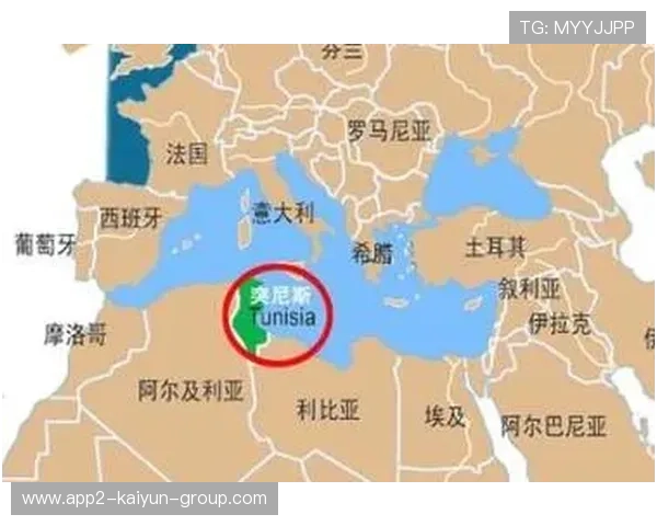 突尼斯希望进攻套路单一，被对手识破，突尼斯事件发生在哪一年